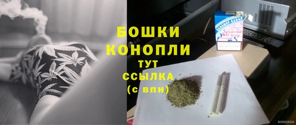 дурь Арсеньев