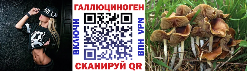 где можно купить наркотик  Светлоград  Псилоцибиновые грибы мухоморы 
