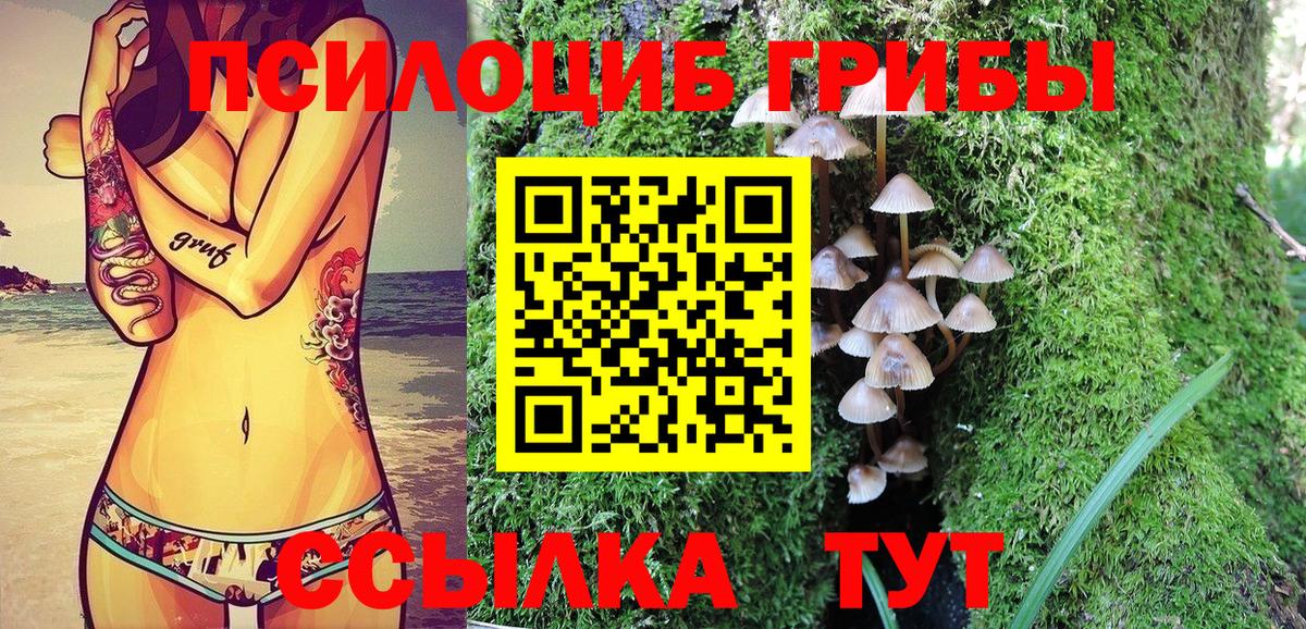 Псилоцибиновые грибы Cubensis  Галлюциногенные грибы мицелий  Светлоград  купить  цена  Вход с VPN 