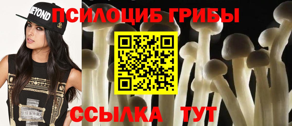 Галлюциногенные грибы GOLDEN TEACHER Светлоград